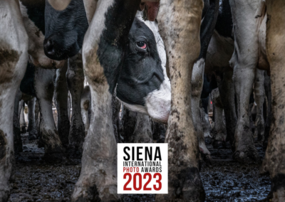 Animal Photojournalism Wins at Siena International Photography Awards 2023
