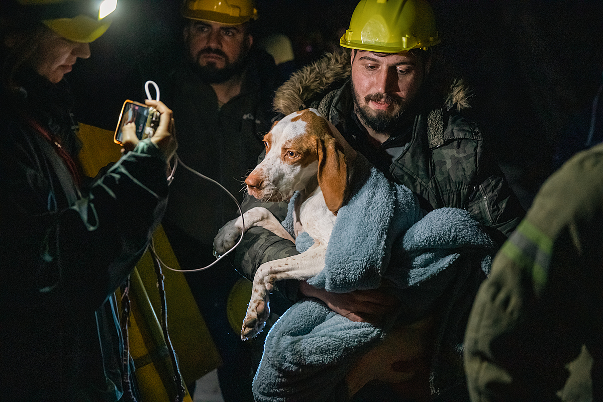 Following two massive February 2023 earthquakes, HAYTAP Animal Rights Federation and Istanbul Fire Department team members carry a mother dog from inside a damaged building. The team rescued the mother dog and her litter of puppies five days after the earthquakes struck the country. Antakya, Hatay, Turkiye, 2023. Ozan Acidere / We Animals