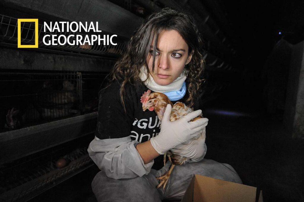 National Geographic Features Our Open Rescue Photography